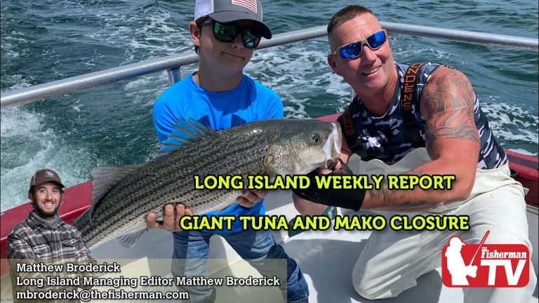 July 7th 2022 Long Island Metro Fishing Report with Matthew Broderick